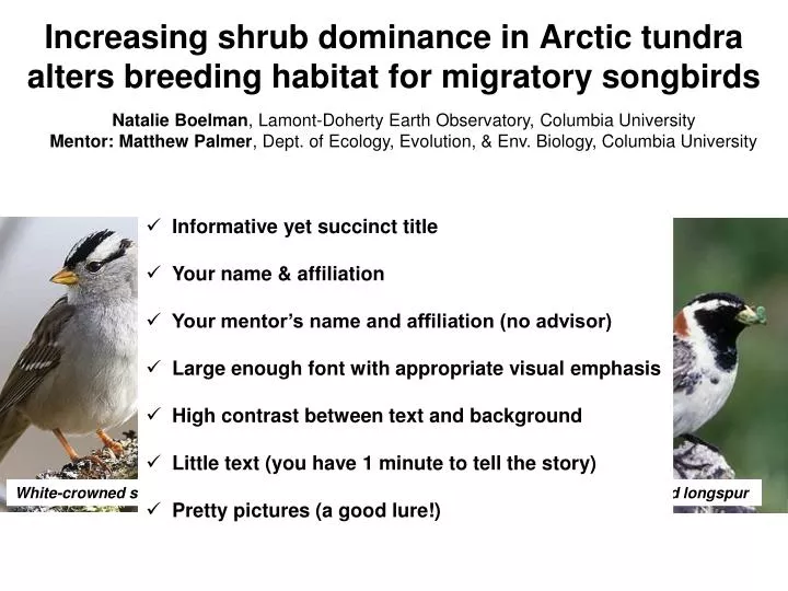 increasing shrub dominance in arctic tundra alters breeding habitat for migratory songbirds