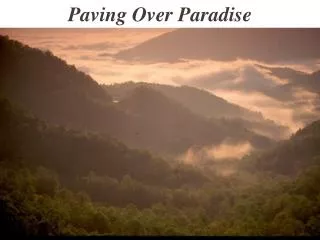 Paving Over Paradise