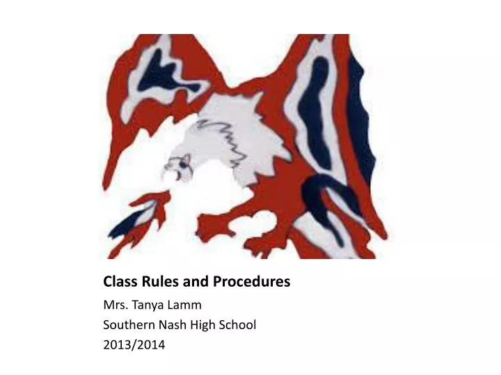 class rules and procedures