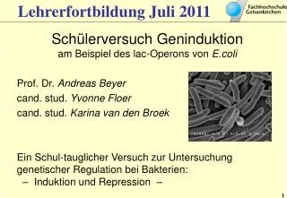 lehrerfortbildung juli 2011