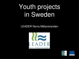 Youth projects in Sweden