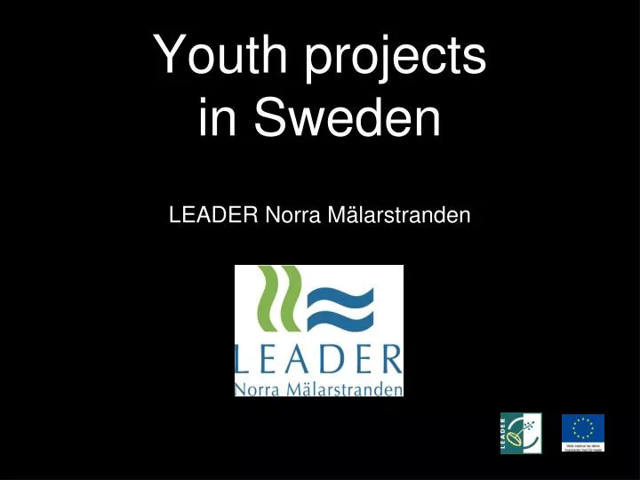 youth projects in sweden
