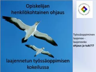 opiskelijan henkil kohtainen ohjaus