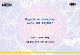 Plugable Authorisation LCAS and beyond?