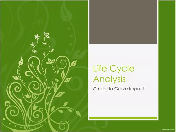 life cycle analysis