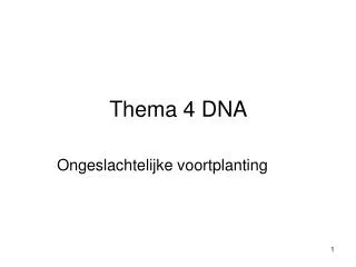 thema 4 dna