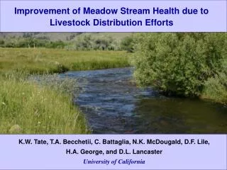 Improvement of Meadow Stream Health due to Livestock Distribution Efforts