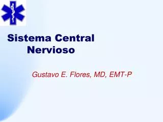 sistema central nervioso