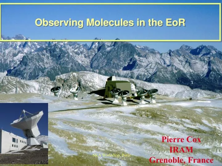 observing molecules in the eor