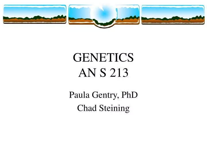 genetics an s 213