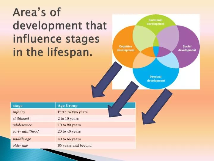 area s of development that influence stages in the lifespan