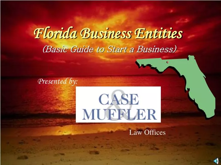 florida business entities