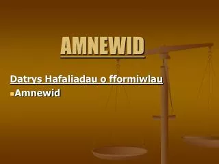 amnewid