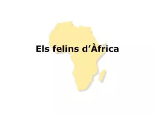 els felins d frica
