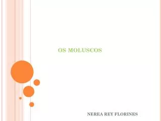 os moluscos