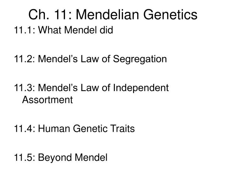 ch 11 mendelian genetics