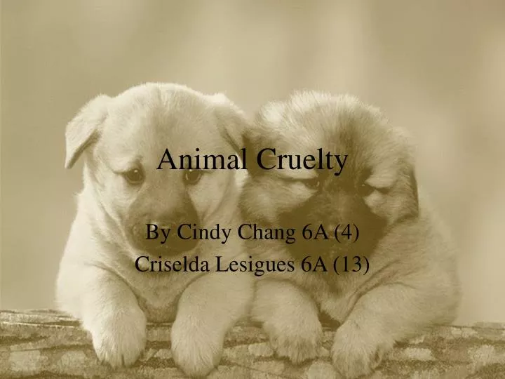 animal cruelty