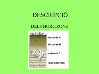 descripci