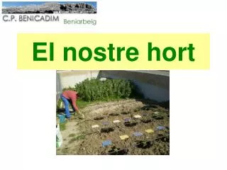 el nostre hort