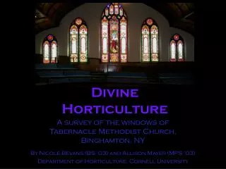 Divine Horticulture