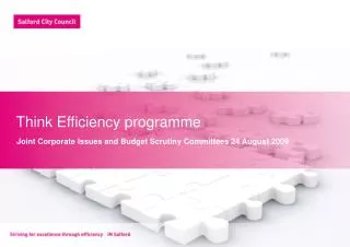 Think Efficiency programme