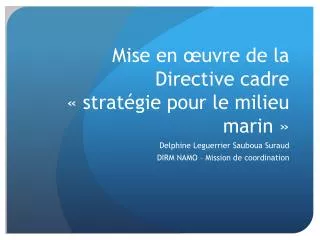 mise en uvre de la directive cadre strat gie pour le milieu marin