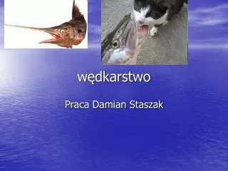 w dkarstwo