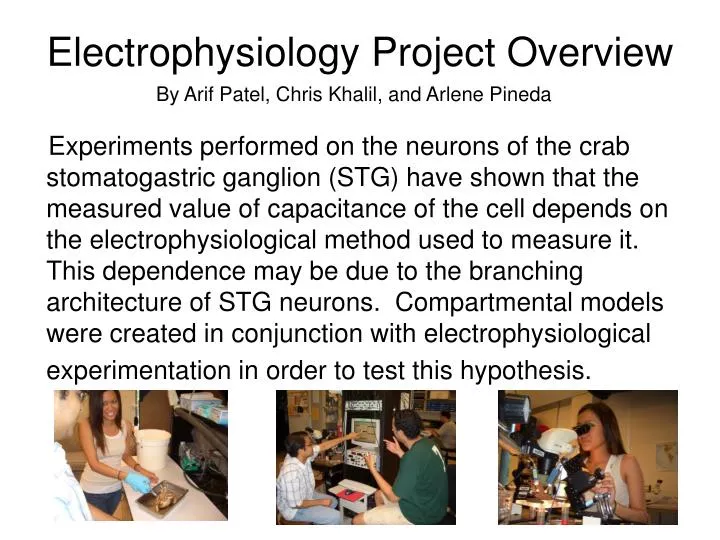 electrophysiology project overview