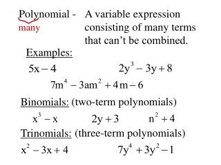 Polynomial -