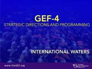 International Waters Operational Strategy