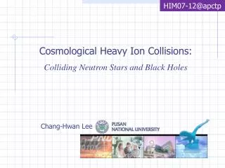 Cosmological Heavy Ion Collisions: Colliding Neutron Stars and Black Holes
