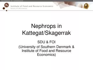 Nephrops in Kattegat/Skagerrak