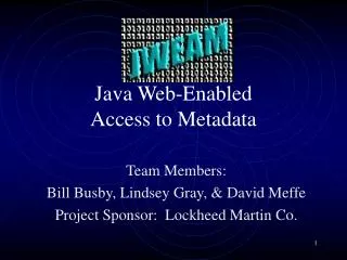 Java Web-Enabled Access to Metadata