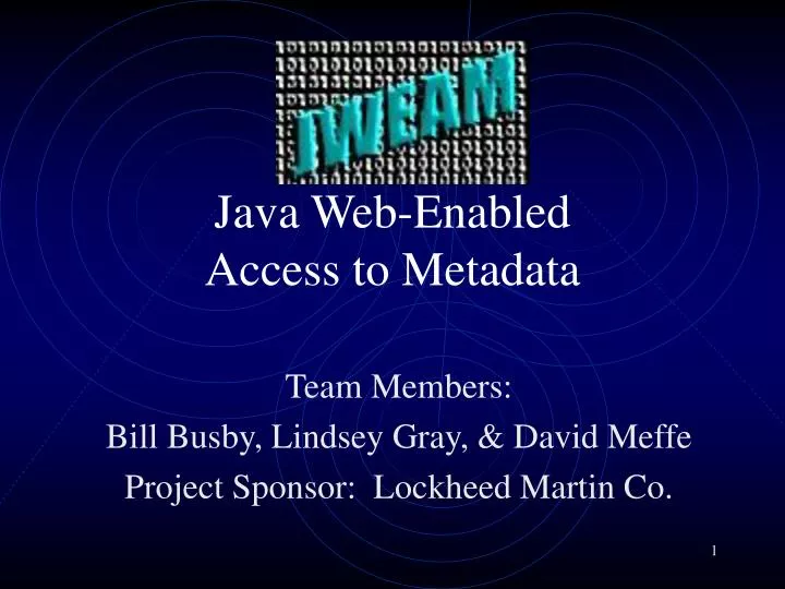 java web enabled access to metadata