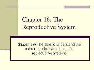 Chapter 16: The Reproductive System