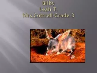 Bilby Leah T. Mrs.Cottrell -Grade 3