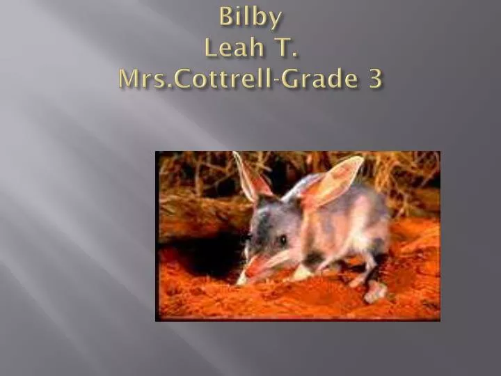 bilby leah t mrs cottrell grade 3