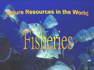 Nature Resources in the World