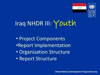 United Nations Development Programme Iraq