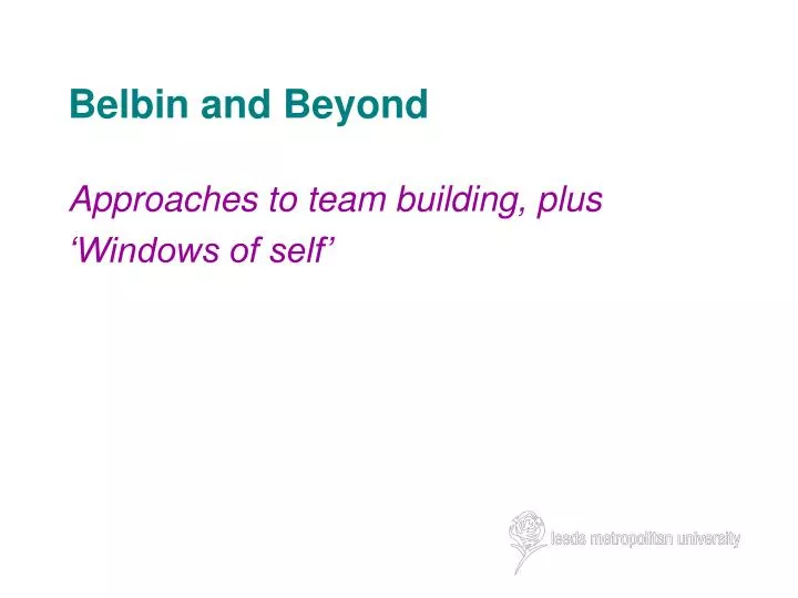 belbin and beyond