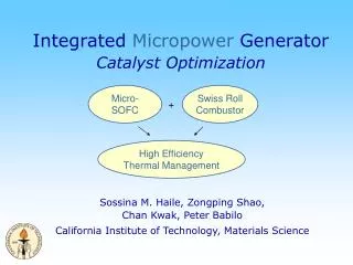 Integrated Micropower Generator Catalyst Optimization