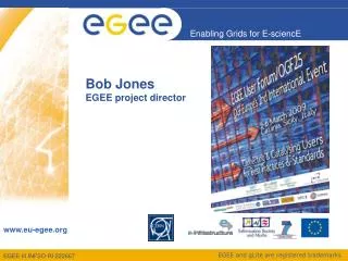 Bob Jones EGEE project director