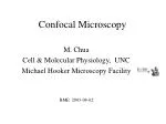 Confocal Microscopy - slide 1