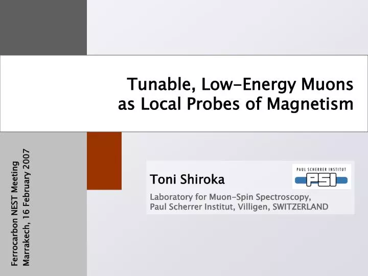 tunable low energy muons as local probes of magnetism