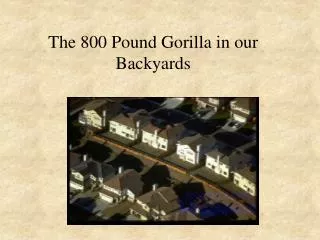 The 800 Pound Gorilla in our Backyards