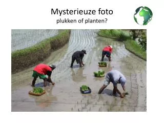 Mysterieuze foto plukken of planten?