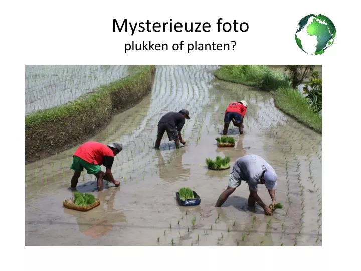 mysterieuze foto plukken of planten