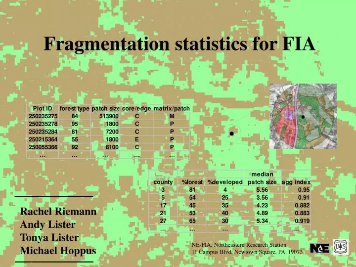 frag statistics for fia