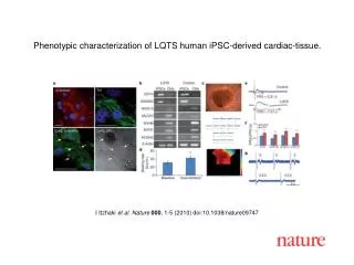 I Itzhaki et al. Nature 000 , 1-5 (2010) doi:10.1038/nature09747