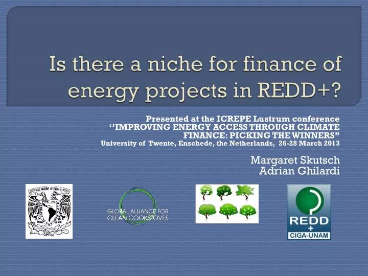 is there a niche for finance of energy projects in redd